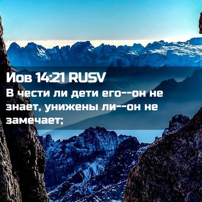Picture 02 - Иов 14:21 RUSV - В чести ли дети его--он не - Bible Verse Picture