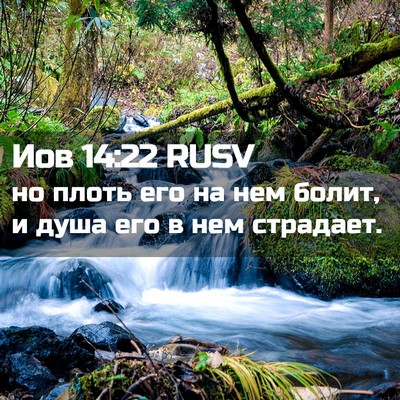 Picture 02 - Иов 14:22 RUSV - но плоть его на нем болит, и - Bible Verse Picture