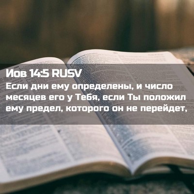 Picture 02 - Иов 14:5 RUSV - Если дни ему определены, и - Bible Verse Picture