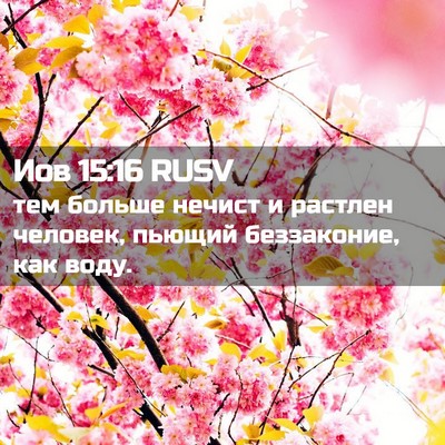 Picture 02 - Иов 15:16 RUSV - тем больше нечист и - Bible Verse Picture