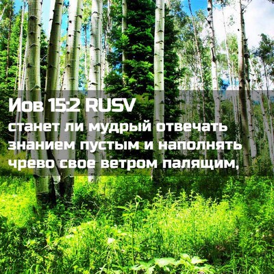Picture 02 - Иов 15:2 RUSV - станет ли мудрый отвечать - Bible Verse Picture