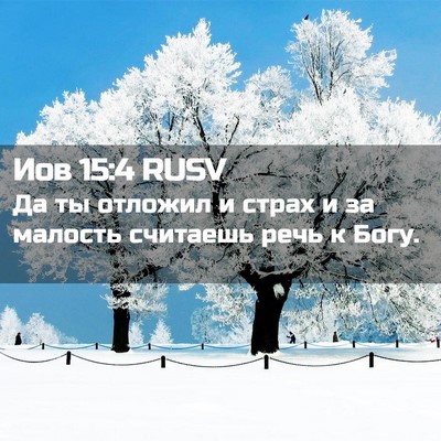 Picture 02 - Иов 15:4 RUSV - Да ты отложил и страх и за - Bible Verse Picture