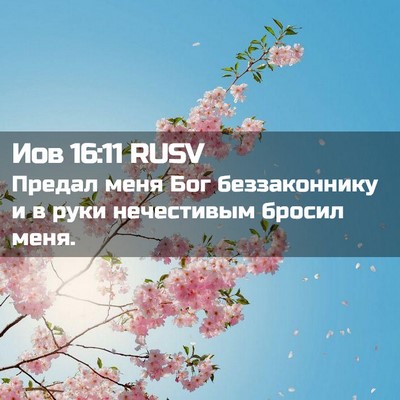 Picture 02 - Иов 16:11 RUSV - Предал меня Бог - Bible Verse Picture