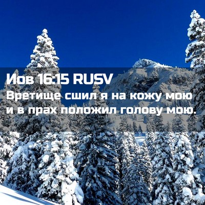 Picture 02 - Иов 16:15 RUSV - Вретище сшил я на кожу мою - Bible Verse Picture
