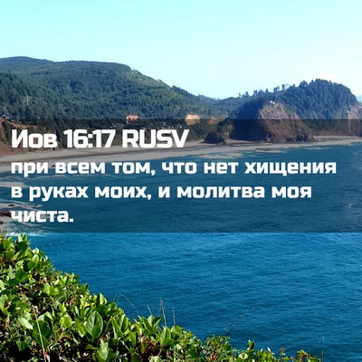 Picture 02 - Иов 16:17 RUSV - при всем том, что нет - Bible Verse Picture