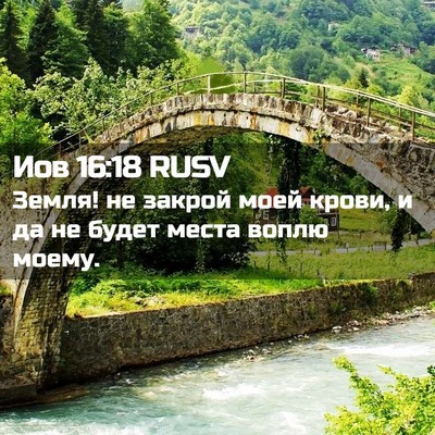 Picture 02 - Иов 16:18 RUSV - Земля! не закрой моей - Bible Verse Picture