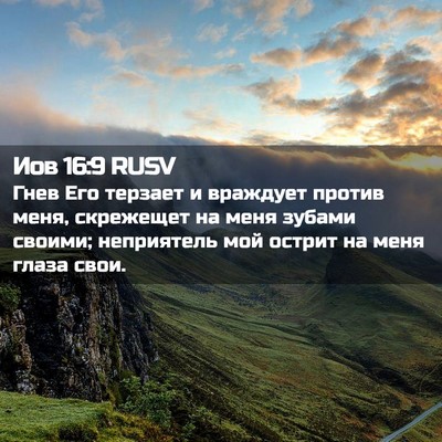 Picture 02 - Иов 16:9 RUSV - Гнев Его терзает и - Bible Verse Picture