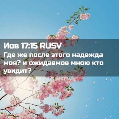 Picture 02 - Иов 17:15 RUSV - Где же после этого надежда - Bible Verse Picture