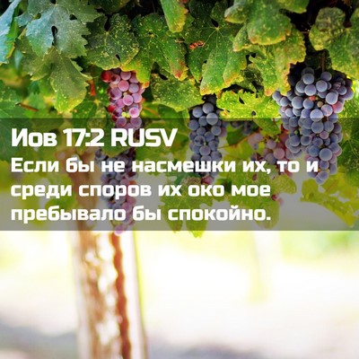 Picture 02 - Иов 17:2 RUSV - Если бы не насмешки их, то и - Bible Verse Picture