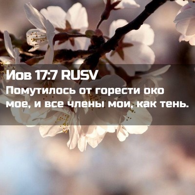 Picture 02 - Иов 17:7 RUSV - Помутилось от горести око - Bible Verse Picture