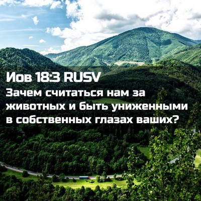 Picture 02 - Иов 18:3 RUSV - Зачем считаться нам за - Bible Verse Picture