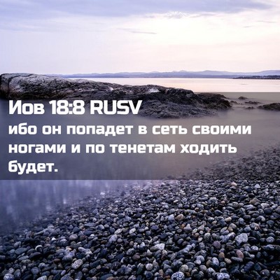 Picture 02 - Иов 18:8 RUSV - ибо он попадет в сеть - Bible Verse Picture