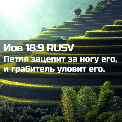 Picture 02 - Иов 18:9 RUSV - Петля зацепит за ногу его, - Bible Verse Picture