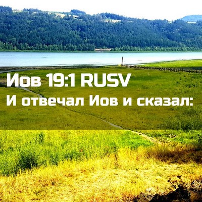 Picture 02 - Иов 19:1 RUSV - И отвечал Иов и - Bible Verse Picture