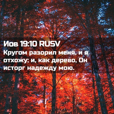 Picture 02 - Иов 19:10 RUSV - Кругом разорил меня, и я - Bible Verse Picture
