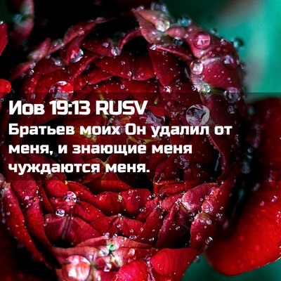 Picture 02 - Иов 19:13 RUSV - Братьев моих Он удалил от - Bible Verse Picture