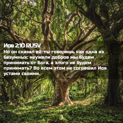 Picture 02 - Иов 2:10 RUSV - Но он сказал ей: ты - Bible Verse Picture