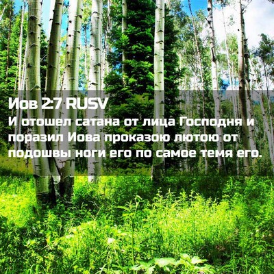 Picture 02 - Иов 2:7 RUSV - И отошел сатана от лица - Bible Verse Picture