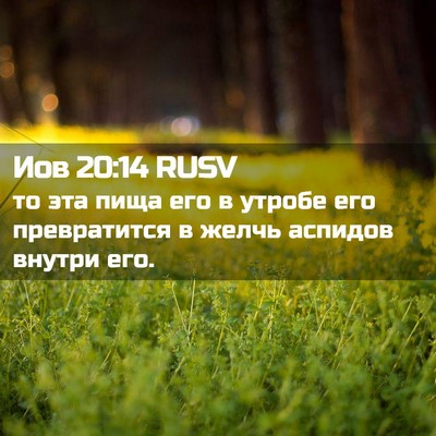Picture 02 - Иов 20:14 RUSV - то эта пища его в утробе - Bible Verse Picture