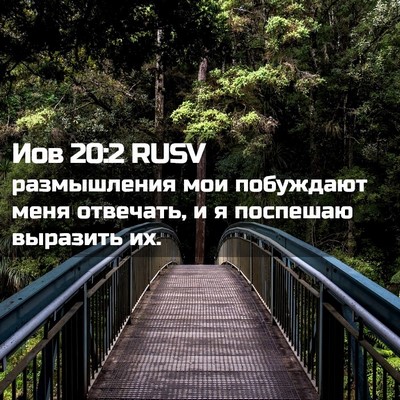 Picture 02 - Иов 20:2 RUSV - размышления мои побуждают - Bible Verse Picture