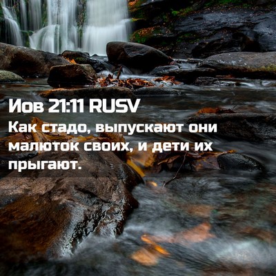 Picture 02 - Иов 21:11 RUSV - Как стадо, выпускают они - Bible Verse Picture