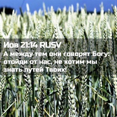 Picture 02 - Иов 21:14 RUSV - А между тем они говорят - Bible Verse Picture