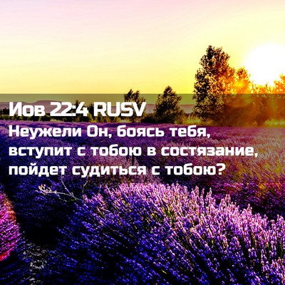 Picture 02 - Иов 22:4 RUSV - Неужели Он, боясь тебя, - Bible Verse Picture