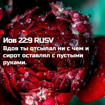 Picture 02 - Иов 22:9 RUSV - Вдов ты отсылал ни с чем и - Bible Verse Picture