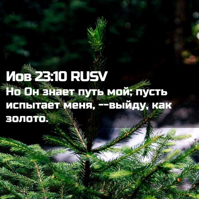 Picture 02 - Иов 23:10 RUSV - Но Он знает путь мой; пусть - Bible Verse Picture