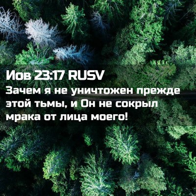 Picture 02 - Иов 23:17 RUSV - Зачем я не уничтожен - Bible Verse Picture