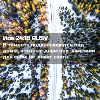 Picture 02 - Иов 24:16 RUSV - В темноте подкапываются - Bible Verse Picture