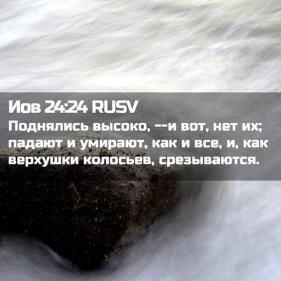 Picture 02 - Иов 24:24 RUSV - Поднялись высоко, --и вот, - Bible Verse Picture