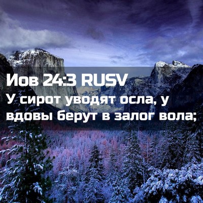 Picture 02 - Иов 24:3 RUSV - У сирот уводят осла, у - Bible Verse Picture