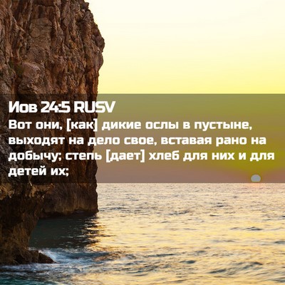 Picture 02 - Иов 24:5 RUSV - Вот они, [как] дикие ослы в - Bible Verse Picture