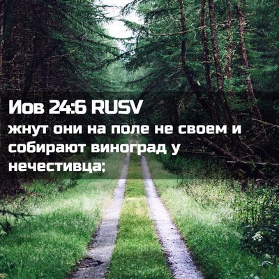Picture 02 - Иов 24:6 RUSV - жнут они на поле не своем и - Bible Verse Picture