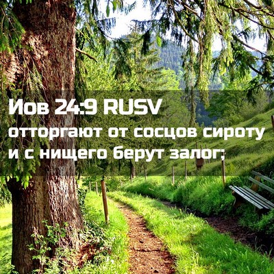Picture 02 - Иов 24:9 RUSV - отторгают от сосцов сироту - Bible Verse Picture