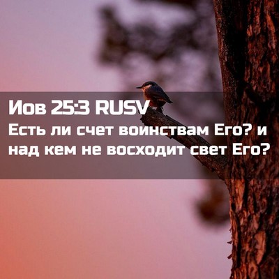 Picture 02 - Иов 25:3 RUSV - Есть ли счет воинствам Его? - Bible Verse Picture