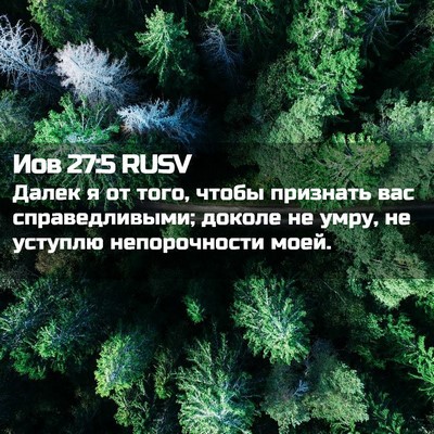 Picture 02 - Иов 27:5 RUSV - Далек я от того, чтобы - Bible Verse Picture