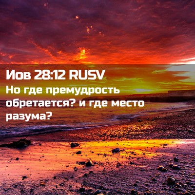 Picture 02 - Иов 28:12 RUSV - Но где премудрость - Bible Verse Picture
