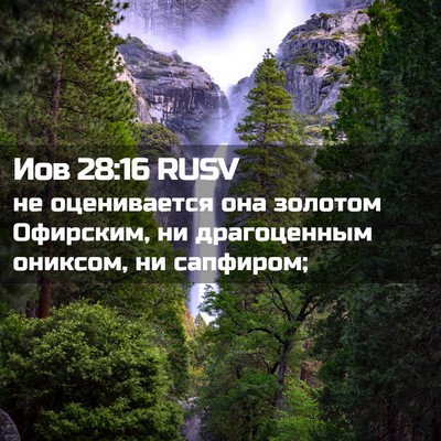 Picture 02 - Иов 28:16 RUSV - не оценивается она золотом - Bible Verse Picture