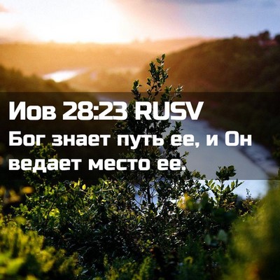 Picture 02 - Иов 28:23 RUSV - Бог знает путь ее, и Он - Bible Verse Picture