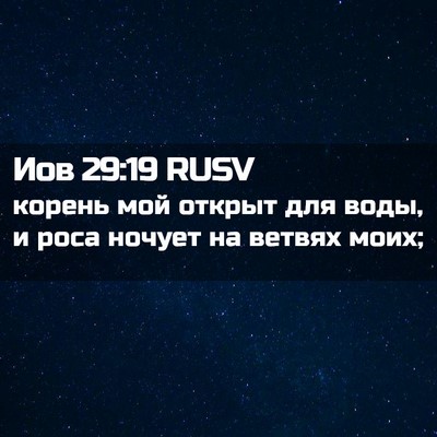 Picture 02 - Иов 29:19 RUSV - корень мой открыт для воды, - Bible Verse Picture