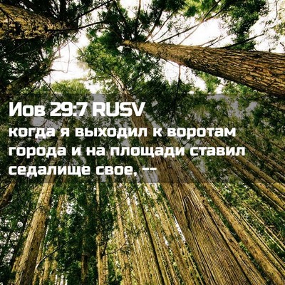 Picture 02 - Иов 29:7 RUSV - когда я выходил к воротам - Bible Verse Picture