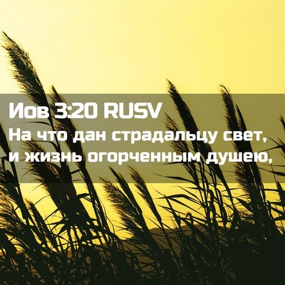 Picture 02 - Иов 3:20 RUSV - На что дан страдальцу свет, - Bible Verse Picture