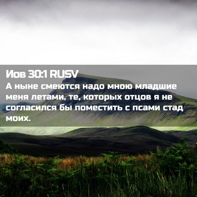 Picture 02 - Иов 30:1 RUSV - А ныне смеются надо мною - Bible Verse Picture