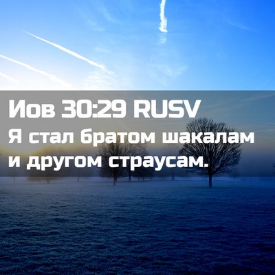 Picture 02 - Иов 30:29 RUSV - Я стал братом шакалам и - Bible Verse Picture