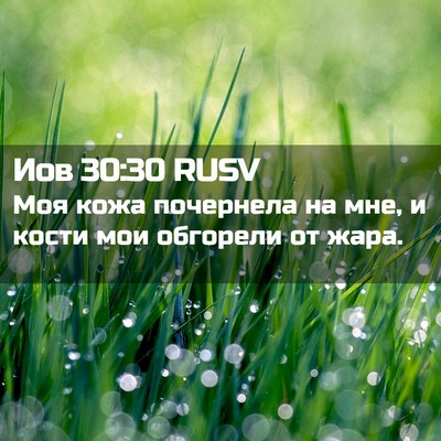 Picture 02 - Иов 30:30 RUSV - Моя кожа почернела на мне, - Bible Verse Picture