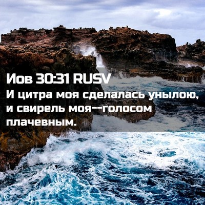 Picture 02 - Иов 30:31 RUSV - И цитра моя сделалась - Bible Verse Picture