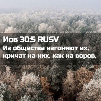 Picture 02 - Иов 30:5 RUSV - Из общества изгоняют их, - Bible Verse Picture