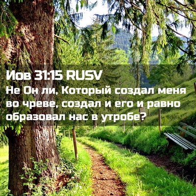 Picture 02 - Иов 31:15 RUSV - Не Он ли, Который создал - Bible Verse Picture